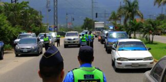 Disminuyen decesos por accidentes viales este año