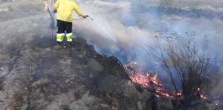 Un incendio en Panamá quema 140 hectáreas de un bosque cerca a Costa Rica