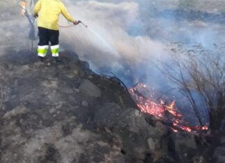 Un incendio en Panamá quema 140 hectáreas de un bosque cerca a Costa Rica