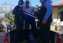 Arrestado de manera flagrante un distribuidor al narcomenudeo en posesión de droga, arma y dos osos hormigueros