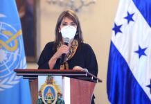 Profesional del derecho Pide al Ministerio Público que investigue a ministra de Salud tras denuncia del CNA