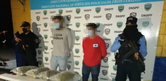 Dos personas son arrestadas por el tráfico ilícito de drogas en la zona sur del país