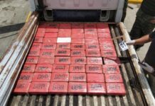 Próximo viernes a audiencia inicial supuesto traficante detenido por la ATIC con 60 kilos de cocaína