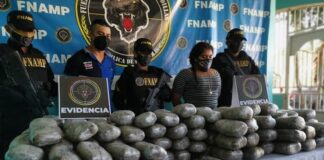 Destruyen 148 paquetes de Marihuana en Colón