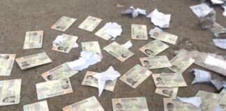 ¡Tirados en la calle! Encuentran 50 nuevos documentos de identidad en colonia El Carrizal