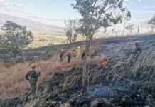 Incendio forestal en el Taladro,Comayagua
