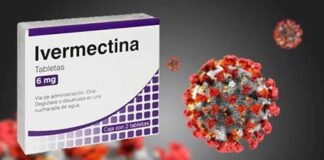 OMS dirá la próxima semana si recomienda la ivermectina para tratar COVID-19