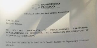 Sentencia condenatoria por usurpación de funciones contra jefe de la Unidad Municipal Ambiental de Talanga