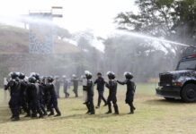 Golpes a estructuras criminales y el decomiso de fuertes cantidades de droga durante el primer trimestre del 2021