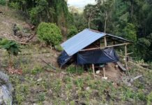 Policía Nacional erradica más de 15 mil arbustos de coca y un narcolaboratorio