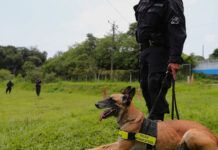 El sentido canino para frenar el traslado de droga por El Salvador