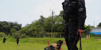 El sentido canino para frenar el traslado de droga por El Salvador