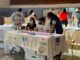 «Hubo respeto a medidas de bioseguridad en elecciones primarias»: viceministro de Salud