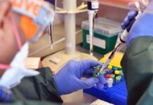 Honduras enviará muestras a Brasil para investigar circulación de otras cepas de COVID-19