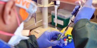 Honduras enviará muestras a Brasil para investigar circulación de otras cepas de COVID-19