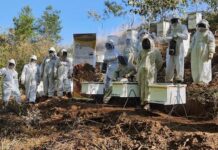 Con el apoyo de USDA: SAG entrega colmenas e insumos a apicultores de La Paz y Ocotepeque