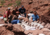 El titanosaurio más antiguo, hallado en la Patagonia Argentina