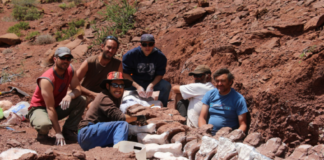 El titanosaurio más antiguo, hallado en la Patagonia Argentina