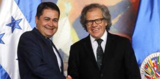 De “hipócrita” y “cínico” tildan a Luis Almagro al querer desvincularse de JOH