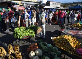 Empleo en Latinoamérica crecerá apenas 0,9 %, según informe de la OIT, desempleados se elevará a 208 millones de trabajadores