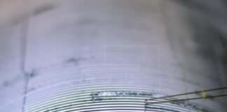 El Salvador alerta sobre amenaza leve de tsunami tras sismo en Nueva Zelanda