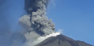 Erupción de volcán Pacaya en Guatemala afecta a 1.300 familias agricultoras
