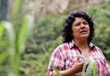 Con 55 medios de prueba, inicia el juicio en contra del supuesto asesino intelectual de la ambientalista Berta Cáceres