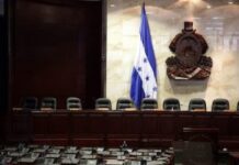 Congreso Nacional convoca sesión virtual para el próximo jueves, tras no reunirse desde febrero