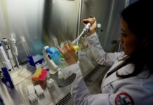 Las científicas perdieron «décadas de trabajo» por la covid, según uruguaya