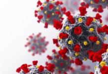 Detectan una descendiente de la variante delta que podría ser más contagiosa