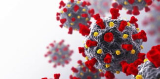 Autoridades de salud confirman la circulación de nueva variante de la Covid-19 en Honduras