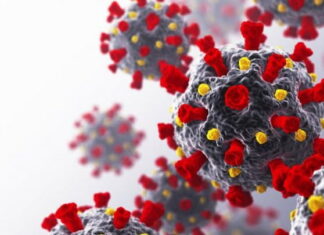 La Orgnización Mundial del Comercio suspende cumbre ministerial por la nueva variante omicron del Coronavirus