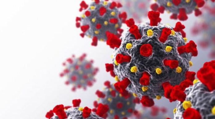 Autoridades de salud confirman la circulación de nueva variante de la Covid-19 en Honduras