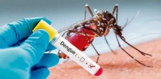 Identifican dos nuevos serotipos de dengue más grave en Honduras