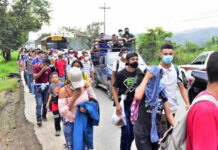 Hondureños migran por una vida mejor, reunificación y violencia, según la OIM