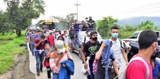 Hondureños migran por una vida mejor, reunificación y violencia, según la OIM