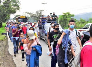 Hondureños migran por una vida mejor, reunificación y violencia, según la OIM