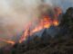 Incendios consumen más de 800 hectáreas durante Semana Santa en El Salvador