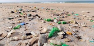 Operación contra contaminación marina global detecta 1600 violaciones de ley