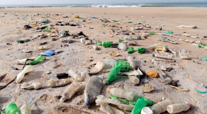 Operación contra contaminación marina global detecta 1600 violaciones de ley