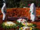 Brasil roza los 14 millones de casos por covid y camina a las 375.000 muertes