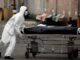 Honduras registra 792 nuevos contagios y siete muertes más por la covid-19