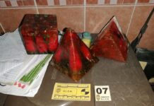 Detienen a pareja que enviaba drogas a EE. UU. por medio de artesanías y alimentos