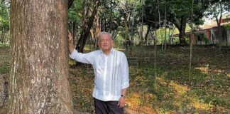 México pedirá a Biden que dé visas a centroamericanos que planten árboles