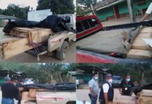 Auto de formal procesamiento contra seis personas por explotación ilegal de recursos naturales en zona oriental