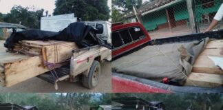 Auto de formal procesamiento contra seis personas por explotación ilegal de recursos naturales en zona oriental