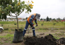 Arranca campaña para plantar 100.000 árboles en la Amazonía de Ecuador