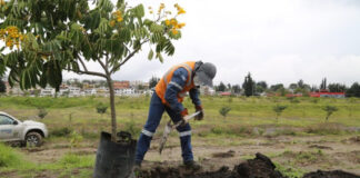 Arranca campaña para plantar 100.000 árboles en la Amazonía de Ecuador