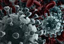 Ante aumento de casos de Covid-19 alcalde de Catacamas pide el cierre total del departamento de Olancho