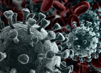 Ante aumento de casos de Covid-19 alcalde de Catacamas pide el cierre total del departamento de Olancho